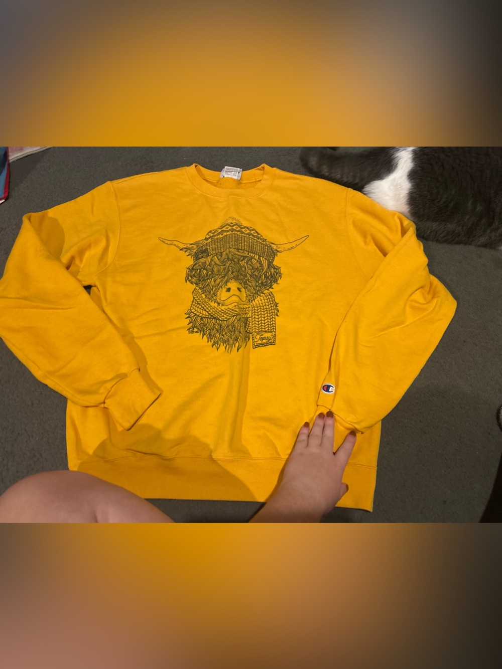 🎃 champion hoodie